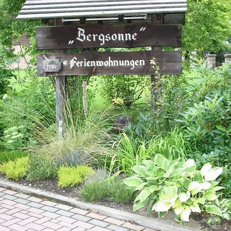 Haus Bergsonne Lejlighed Braunlage